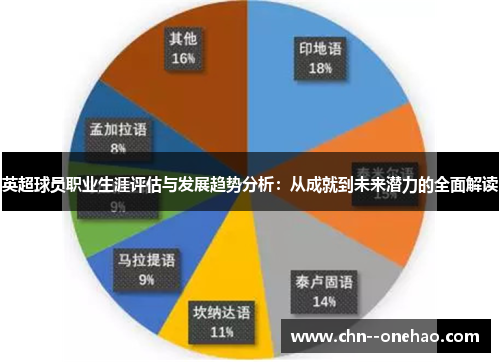 英超球员职业生涯评估与发展趋势分析：从成就到未来潜力的全面解读