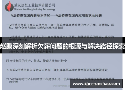 赵鹏深刻解析欠薪问题的根源与解决路径探索