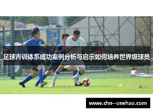 足球青训体系成功案例分析与启示如何培养世界级球员