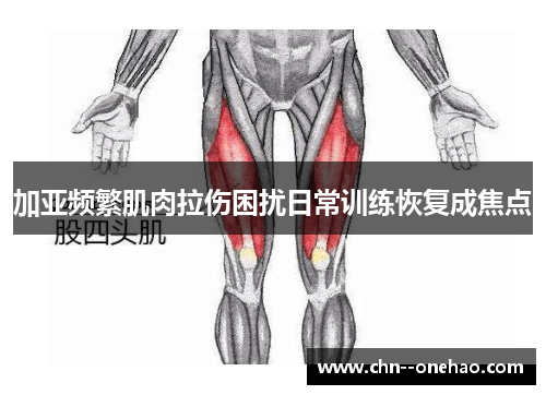 加亚频繁肌肉拉伤困扰日常训练恢复成焦点