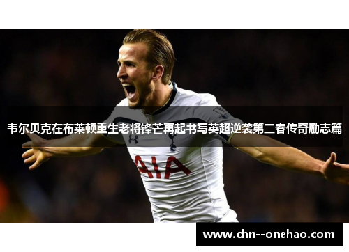 韦尔贝克在布莱顿重生老将锋芒再起书写英超逆袭第二春传奇励志篇 韦尔贝克在布莱顿重生老将锋芒再起书写英超逆袭第二春传奇励志篇