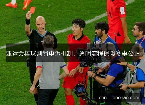亚运会棒球判罚申诉机制，透明流程保障赛事公正